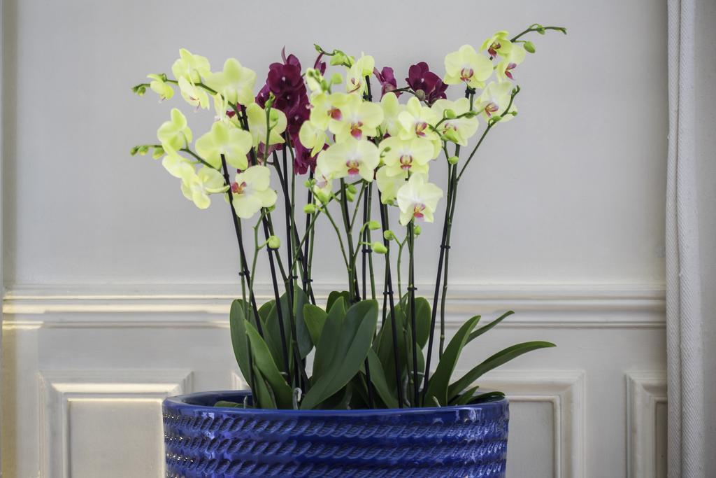 Luxury In Center - Louvre Museum